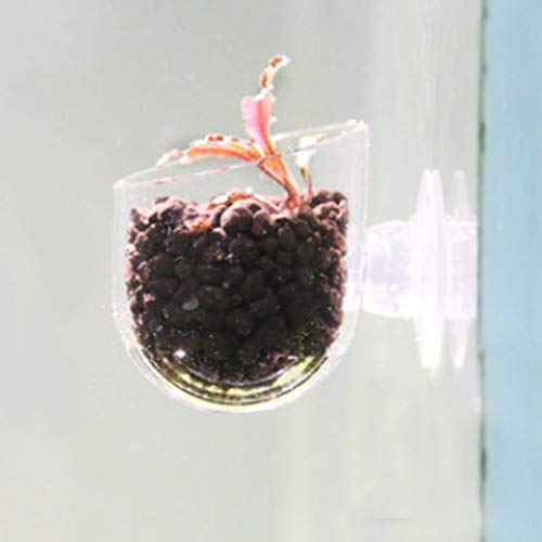  ESAAH Fish Feeding Cup, Aquarium Red Worm Fish Feeder Transparent Cup Fish Food Container For Feeding Shrimp Fish