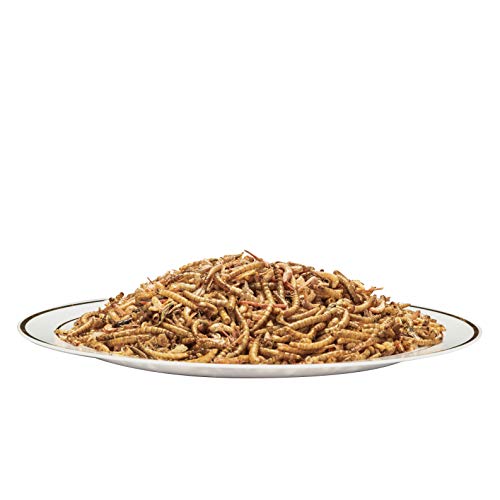  Appetizing Mealworms With Dried River Shrimp (8oz) All Natural 100% Non-GMO,Surf & Turf, Chicken, Fish, Ducks, Wild Birds, Turtles, Hamsters, Fish, And Hedgehogs