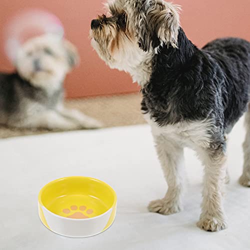  Hemobllo 1pc Pet Bowl Floor Feeding Dish Cat Food Bowl Pet Feeder Pet Water Container