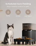  PETVIAGA Elevated Automatic Cat Feeders For 2 Cats, 5L Multiple Cat Feeder With Timer, 2-Way Divider & Raised Stainless Steel Bowls, Timed Dog Food Dispenser With 1-6 Meals & 20 Portions Control