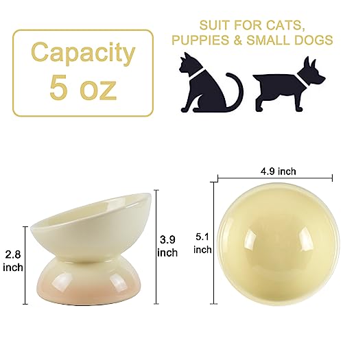  Ceramic Raised Cat Bowl, 15° Tilted Elevated Cat Food Or Water Bowl For Cats And Small Dogs, Anti-Vomiting Cat Dish Stress Free Cat Feeder, Pink