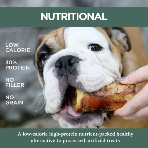  K9 Connoisseur Single Ingredient Dog Bones Made In USA Natural Marrow Filled Dynamo Bone Chew Treats For Small To Medium Breed Aggressive Chewers Dogs - Best Up To 50 Pounds 6 Pack