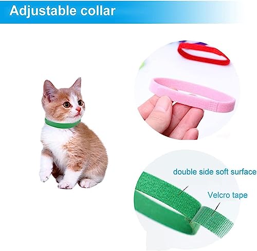  Digital Pet Scale Set, 33lb/15kg Small Animal Scale Food Scale Grams And Ounces, Kitchen Electronic Weight Scale, For Kitten/Puppy/Hamster/Little Bird/Rabbit