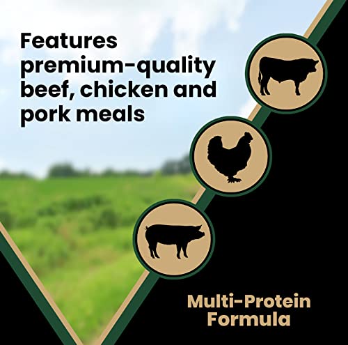  Victor Super Premium Dog Food – Performance Dry Dog Food – 26% Protein For Active Adult Dogs – Includes Glucosamine And Chondroitin For Hip And Joint Health, 40lbs