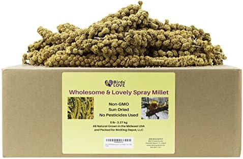  Birds LOVE Wholesome & Lovely Spray Millet Non-GMO No Pesticide (No Stems Only Edible Tops) For Parrots Birds Cockatiel Lovebird Keets Finch Canary All Parrots Healthy Treat-5lbs…