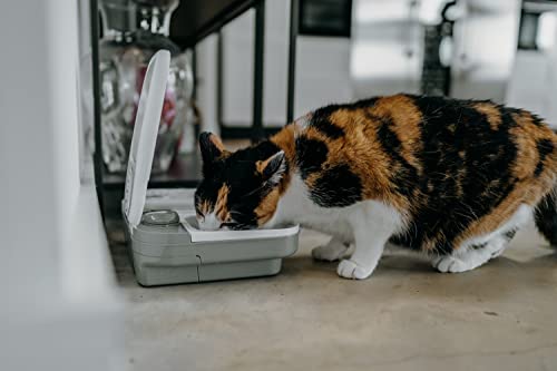  Bundle Of Cat Mate C200 Automatic 2 Meal Pet Feeder, 2X Stainless Steel Bowl Inserts, And Extra Cat Mate Ice Pack