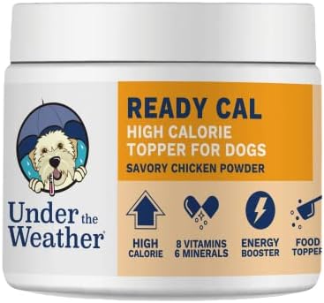  Under The Weather Ready Cal Powder For Cats | High-Calorie, Weight Gainer, Appetite Stimulant, Energy Booster Pet Suppliment | 20 Scoops (Scoop Included)
