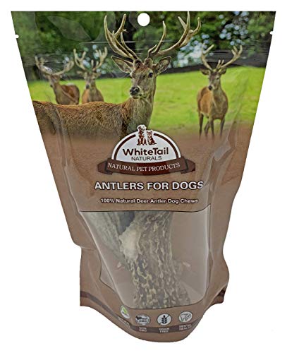  WhiteTail Naturals | Deer Antlers For Large Dogs (2 Pack- Jumbo XXL) All Natural Antler Dog Chew | Naturally Shed, Long Lasting Chew Bone, Made In USA