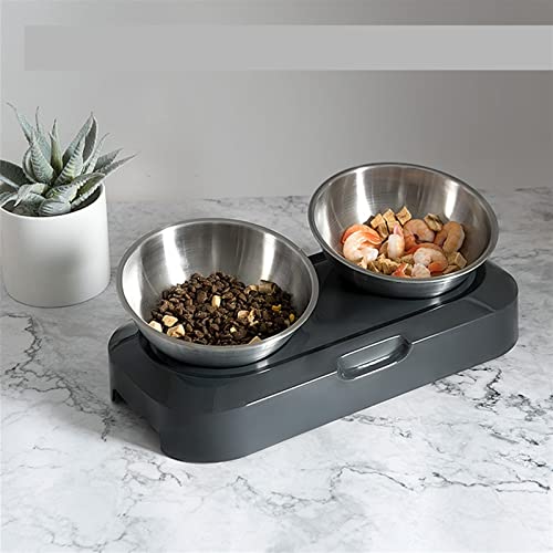  AACARB Cat Water Dispenser, Contact Now Stainless Steel Pet Water Bottle Pet Feeder Pet Food