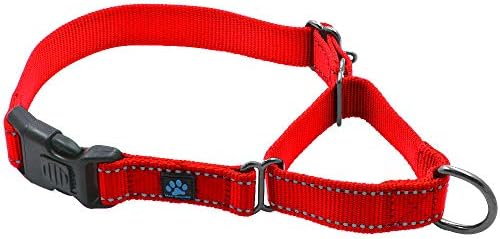 Max And Neo Nylon Martingale Collar - We Donate A Collar To A Dog Rescue For Every Collar Sold (Medium, Teal)