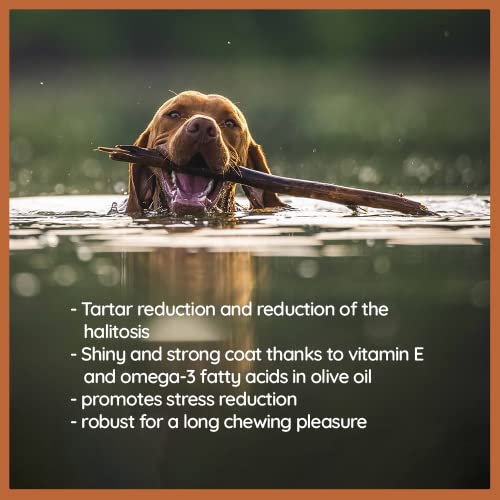  Wildfang® Olive Wood - Chewing Stick For Dogs, 100% Natural Dog Toy, Dental Care & Training…