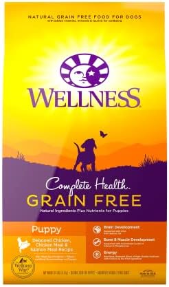  Wellness Complete Health Natural Grain Free Dry Puppy Food, Chicken & Salmon, 24-Pound Bag