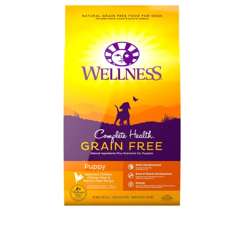  Wellness Complete Health Natural Grain Free Dry Puppy Food, Chicken & Salmon, 24-Pound Bag