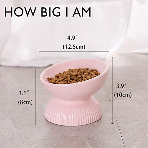 Raised Cat Food Bowls Ceramic - Tilted Elevated Cat Bowls Anti Vomiting - 4.9 In Small Cat Bowl For Dry Wet Food - Stress Free Shallow Cat Feeding Bowls For Whisker Fatigue - Dishwasher Safe - 4oz