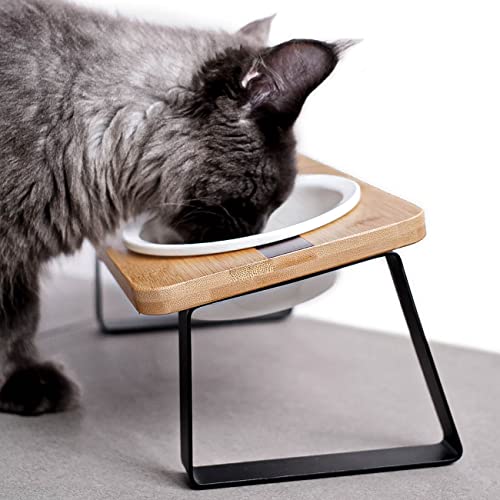  Pawkizz Elevated Cat Bowls & Waterproof Pet Food Mat - Eco-Friendly Bundle