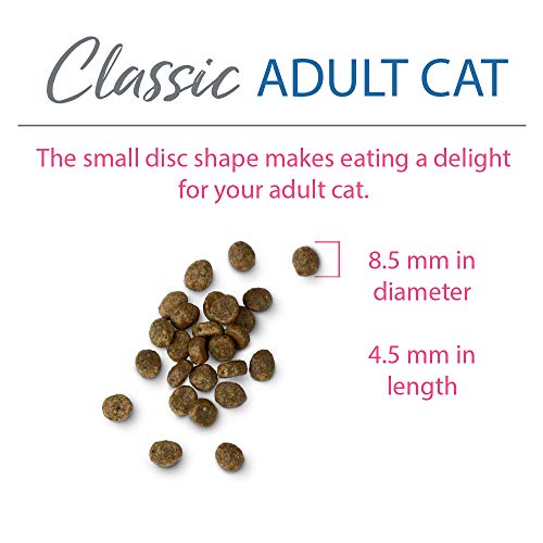  Chicken Soup For The Soul Pet Food - Adult Dry Cat Food, Salmon & Brown Rice Recipe, 4.5 Lb. Soy, Corn & Wheat Free, No Artificial Flavors Or Preservatives