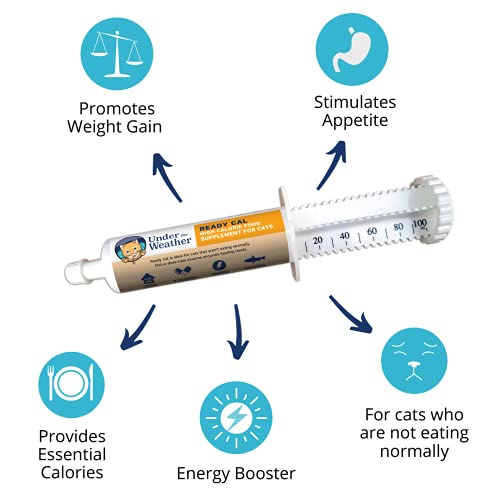  Under The Weather Pet | Ready Cal For Cats 100cc | High Calorie Supplement | Cat Weight Gainer And High Calorie Booster | 10 Vitamins, 7 Minerals & Omega Fatty Acids (for Cats 100cc)