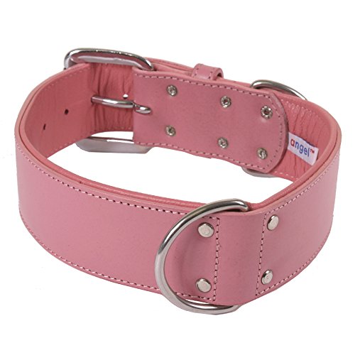  Dallas Luxury Leather Padded Dog Collar -Pink - 26" X 1.5"