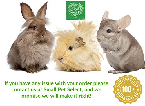  Small Pet Select - Premium Ultra Soft Timothy Hay, Rabbits, Guinea Pigs, Chinchillas, 15oz