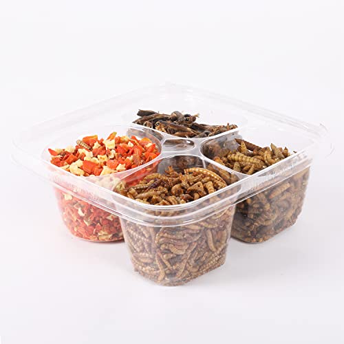  Hedgehog Treat Variety Pack - Healthy Natural Treat Assortment - Dried Mealworms, Dried Black Soldier Fly Larvae, Dried Crickets, Dried Apples & Carrots - Sampler Variety Value Package