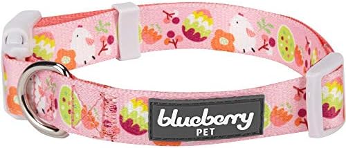  Blueberry Pet Essentials 10 Patterns Statement Busy Bees Designer Adjustable Dog Collar, Large, Neck 18"-26"