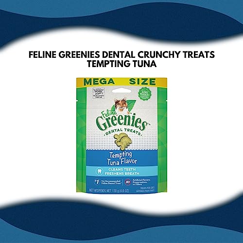  Feline Greenies Dental Crunchy Treats For Cats Mega Size Variety Bundle Pack With Funny Cat Tales, Cat Toys, And Mini Catnip (Catnip, Tempting Tuna, Savory Salmon)