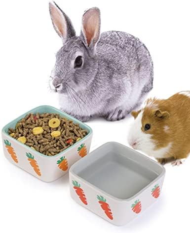  JanYoo Rabbit Accessories Chinchilla Food Bowl And Water Bowls Feeding Ceramic Set For Bunnies Cage Blue Grey (2 Pack)