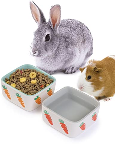  JanYoo Rabbit Accessories Chinchilla Food Bowl And Water Bowls Feeding Ceramic Set For Bunnies Cage Blue Grey (2 Pack)