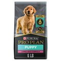  Purina Pro Plan High Protein Puppy Food DHA Lamb & Rice Formula - 6 Lb. Bag