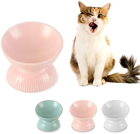  Raised Cat Food Bowls Ceramic - Tilted Elevated Cat Bowls Anti Vomiting - 4.9 In Small Cat Bowl For Dry Wet Food - Stress Free Shallow Cat Feeding Bowls For Whisker Fatigue - Dishwasher Safe - 4oz