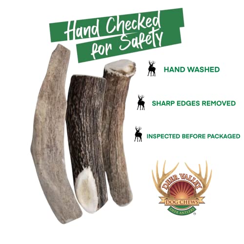  Deer Valley Dog Chews - XL & Robust 3 Pack (1lb) For Large Dogs (40-100 Lb) - All-Natural, Odor-Free Dental Treats For Healthy Teeth And Gums (Value Pack)
