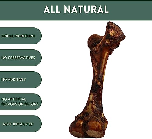  K9 Connoisseur Single Ingredient Dog Bones Made In USA For Large Breed Aggressive Chewers All Natural Long Lasting Meaty Mammoth Marrow Filled Bone Chew Treat Best For Dogs Over 50 LBS -Goliath 1 Pack