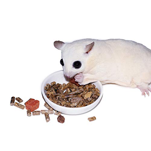  Glider Complete - Healthy High Protein Nutritionally Complete Staple Diet Sugar Glider Food (2 Lb)