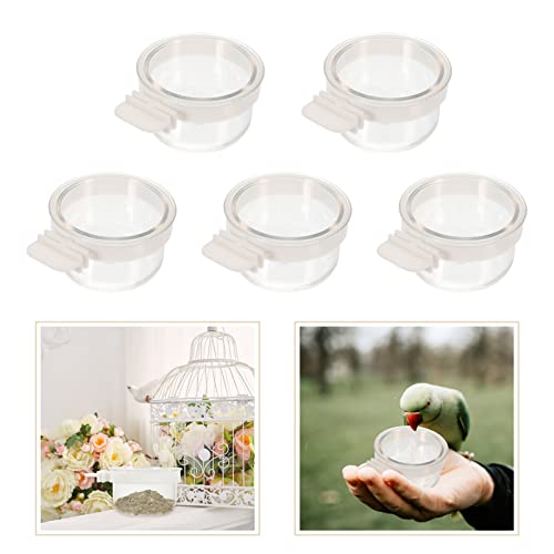  Ipetboom Food Containers Chicken Accessories 2pcs Bird Parrot Feeding Acrylic Parrot Feeder Parrot Food Container Bird Food Container Cups, 5PCS Parrot Hamster Accessories Chicken Feeder