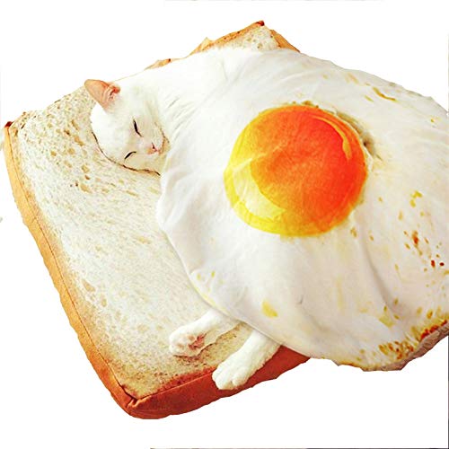  1pc Short Plush Pet Mat Durable Poached Eggs Blanket Mats For Small Dog And Cat Cute Omelette Pet Blankets Puppy Cat (Color : Pizza Blanket, Size : L)
