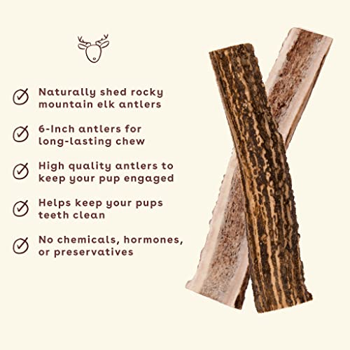  Pupford Split Elk Antlers | Durable & Tough Chew Toy & Treat For Aggressive Chewers - Long Lasting, All Natural, Cleans Teeth & Engages Your Pup | 5-8” Long (1 Count)