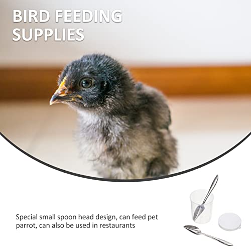  Feeding Tube Hummingbird Feeder 4 Pack Stainless Steel Bird Parrot Feeder Pet Food Bird Feeder Feeder Spoons With Metal Serving Spoons Pet Supplies