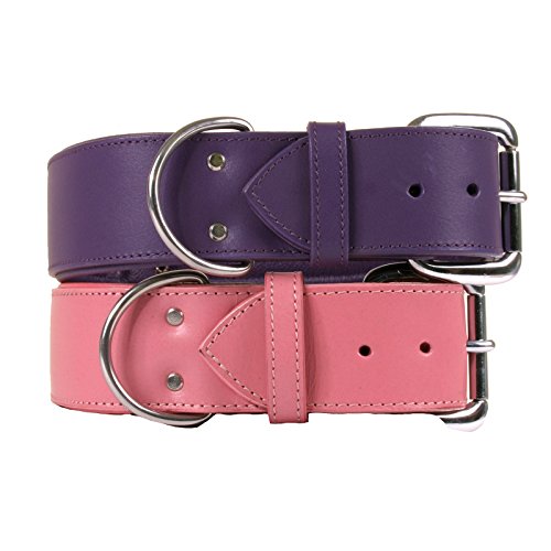  Dallas Luxury Leather Padded Dog Collar -Pink - 26" X 1.5"