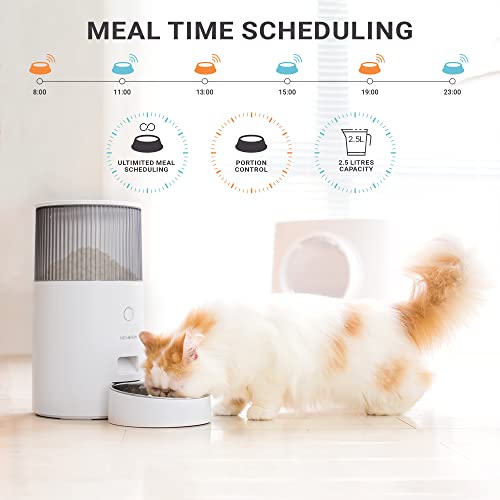  INSTACHEW Purechew Mini Automatic Cat Feeders 2.5L - Automatic Cat Food Dispenser- Dry Food Smart Dog Feeder - Automatic Pet Feeders For Cats And Dogs -Programmable Portion Control- Timed Cat Feeder