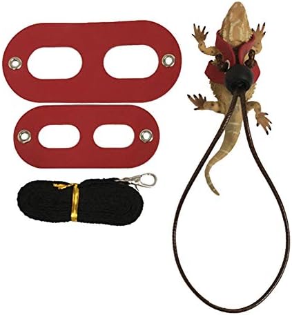 XxiaoTHAWxe Pet Leash Traction Rope, Adjustable Reptile Leash Bearded Dragon Lizard Harness Wing Traction Rope Set For Walking Training Running - Black Without Wing