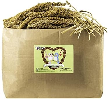  Birds LOVE Wholesome & Lovely Spray Millet Non-GMO No Pesticide (No Stems Only Edible Tops) For Parrots Birds Cockatiel Lovebird Keets Finch Canary All Parrots Healthy Treat-5lbs…