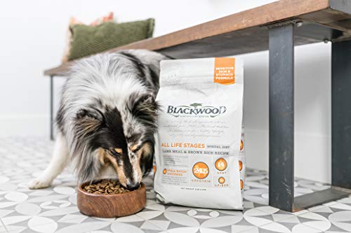  Blackwood Dog Food Made In USA Slow Cooked Dry Dog Food [Sensitive Skin And Stomach Dog Food To Solve Food Sensitivities Naturally], Catfish & Pearled Barley Recipe, 5 Lb. Bag