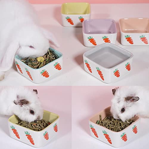  JanYoo Rabbit Accessories Chinchilla Food Bowl And Water Bowls Feeding Ceramic Set For Bunnies Cage Blue Grey (2 Pack)