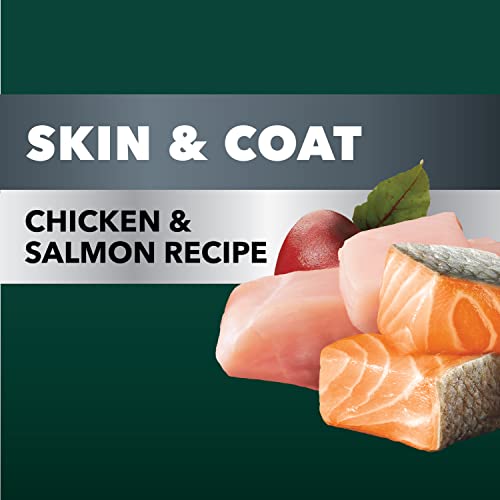  IAMS Advanced Health Skin & Coat Chicken And Salmon Recipe Adult Dry Dog Food, 13.5 Lb. Bag