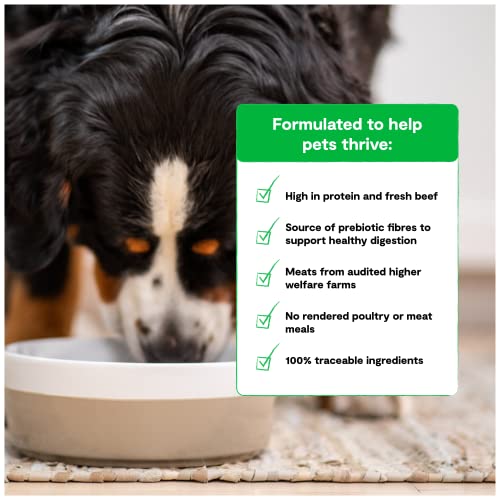  Open Farm Grass-Fed Beef Grain-Free Dry Dog Food, 100% Humanely Raised Wagyu Recipe With Non-GMO Superfoods And No Artificial Flavors Or Preservatives, 4 Lbs