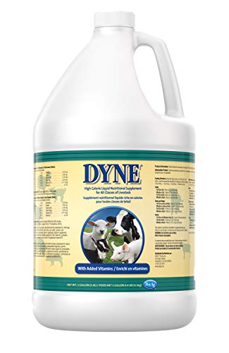  PetAg Dyne High-Calorie Liquid Nutritional Supplement For Livestock - Provides Energy And Extra Nutrition - Contains Soybean Oil & Vitamins - 128 Fl Oz (1 Gal)