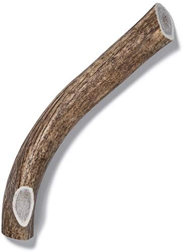  Antler Dog Chew From Pet Expertise, Gigantic 12-14" Long, 1 Piece