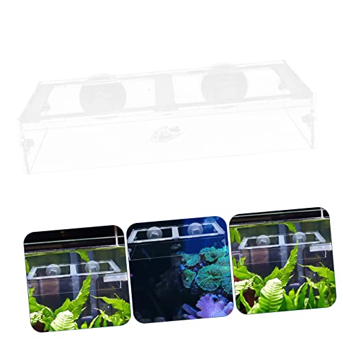  NOGRAX 1pc Fish Tank Feeding Ring Accessory Tray Reptiles Feeder Bowl Suction Cup Fish Feeder Transparent Shrimp Feeder Acrylic Freshwater Feeder