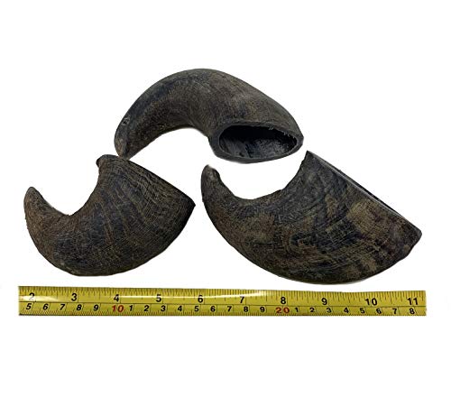  WhiteTail Naturals - Water Buffalo Horns For Dogs (3 Pack Medium) All-Natural Buffalo Horn Dog Chew - Long Lasting Chew Toy For Aggressive Chewers And Teething Puppies