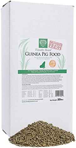  Small Pet Select Guinea Pig Food Pellets, 10 Lb.